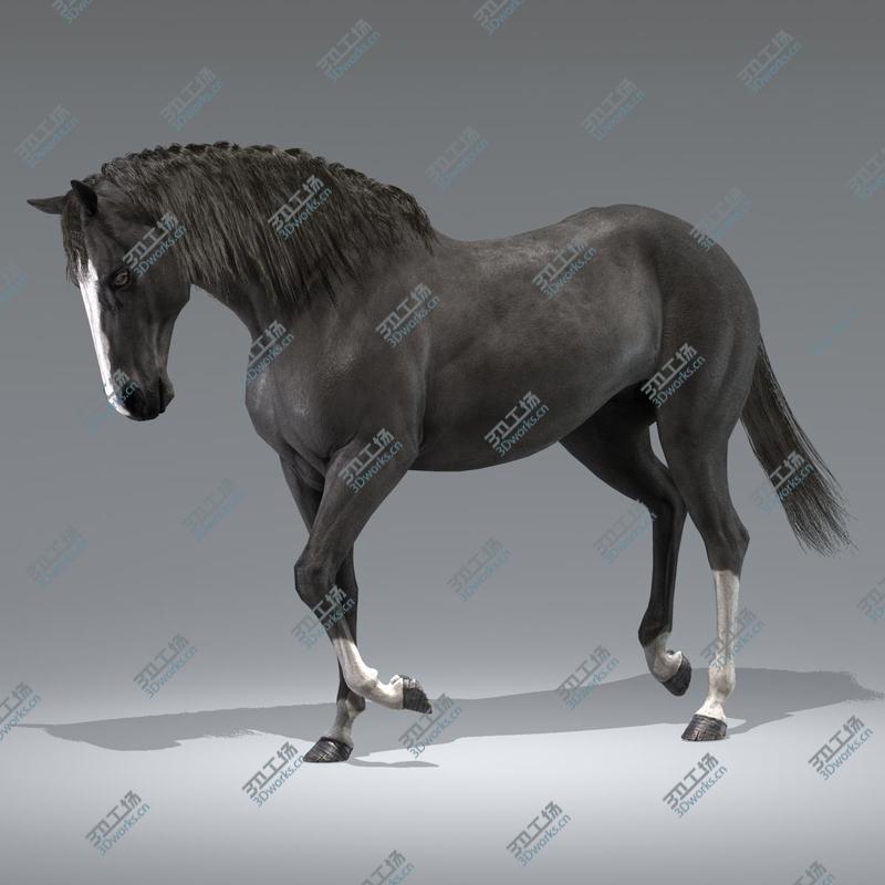 images/goods_img/202104022/Horse (Black)/4.jpg